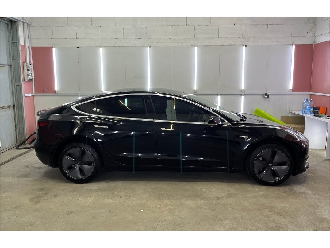 Tesla Model 3 2019