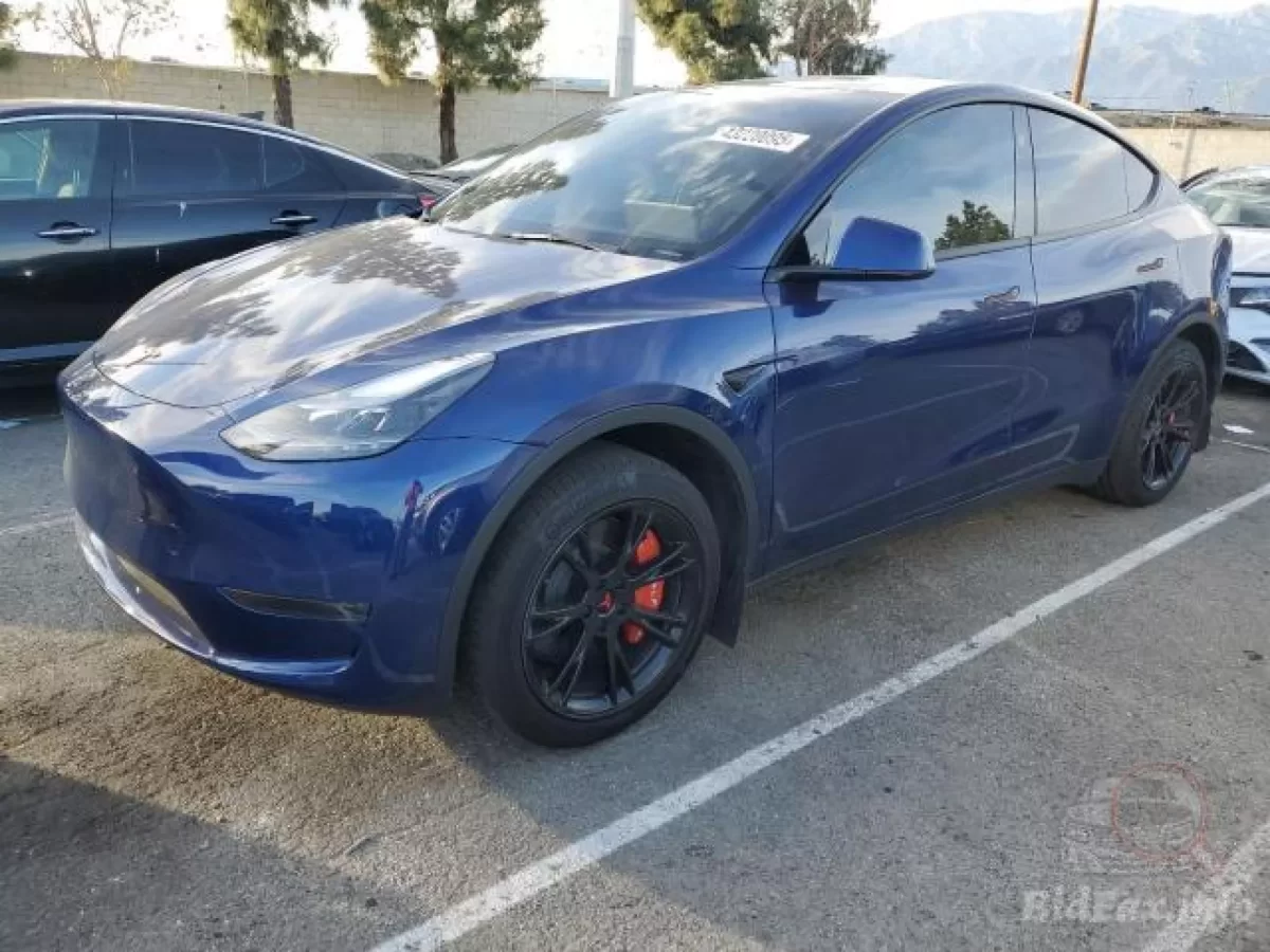 Tesla Model Y 2024🔋